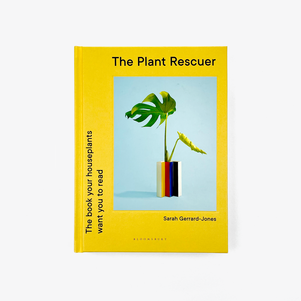 The Plant Rescuer – Seconds