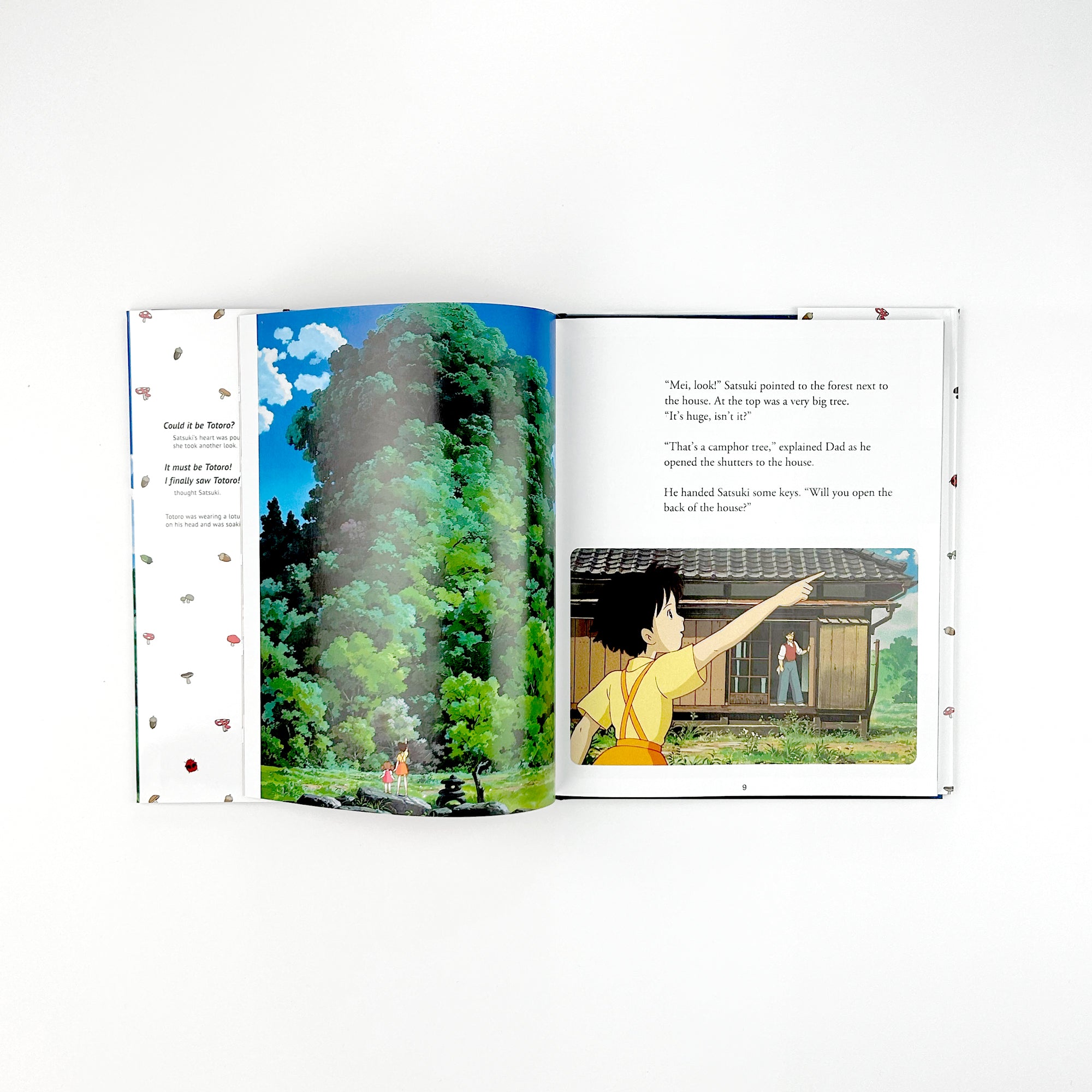 My Neighbour Totoro Picture Book