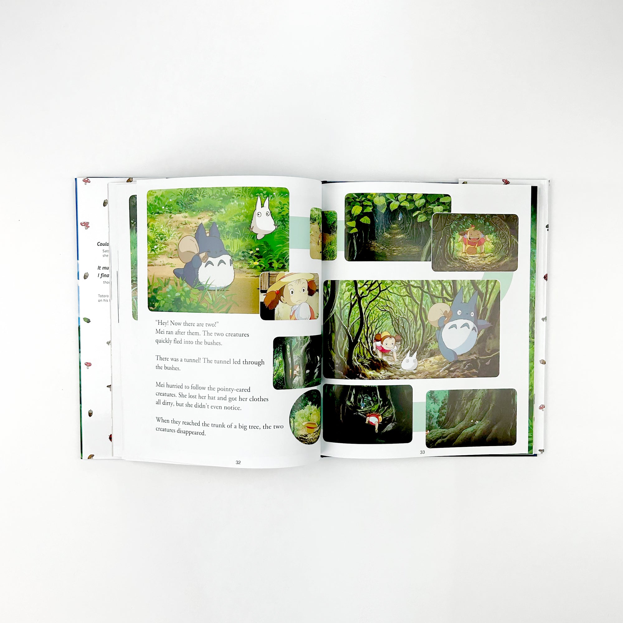 My Neighbour Totoro Picture Book