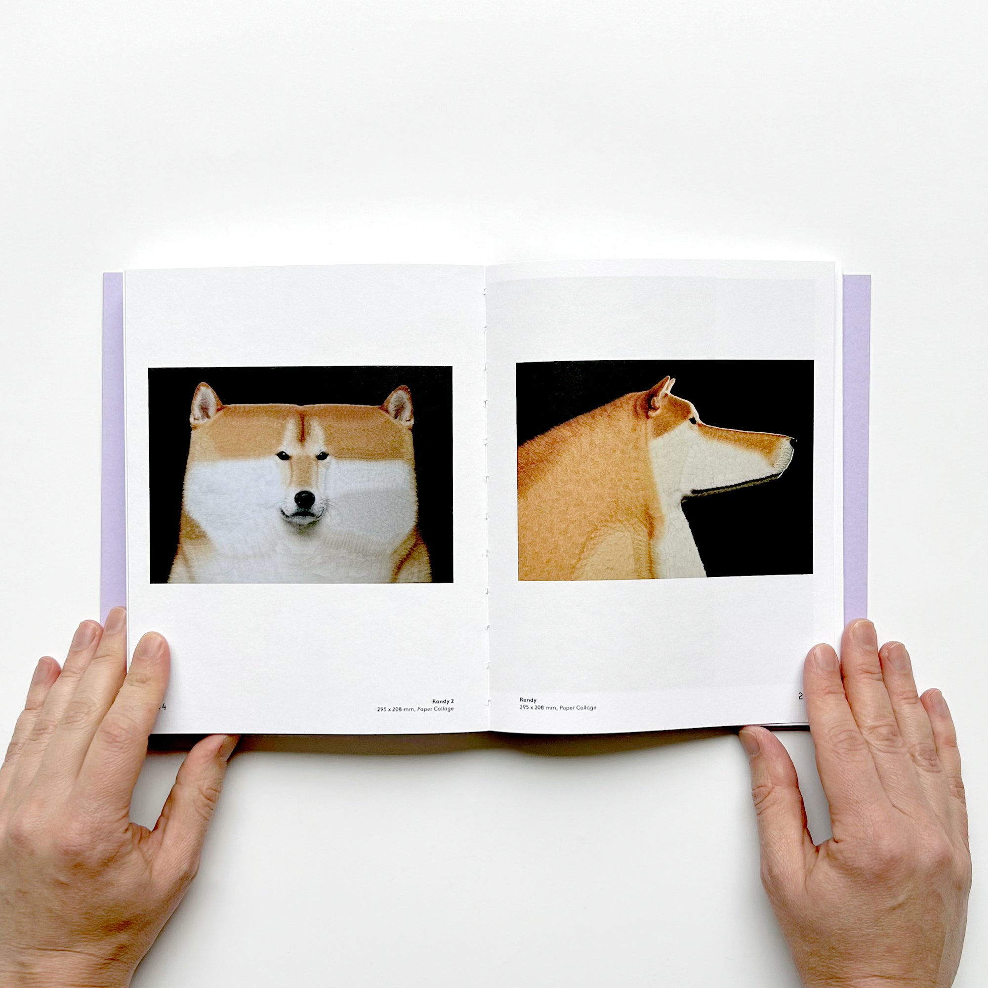 Good Dogs: Canine Companions in Art and Illustration